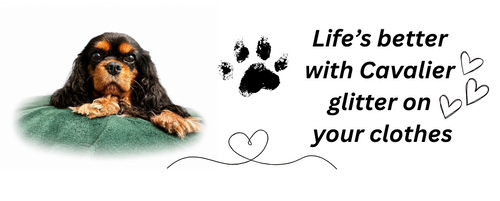 Black and Tan Cavalier